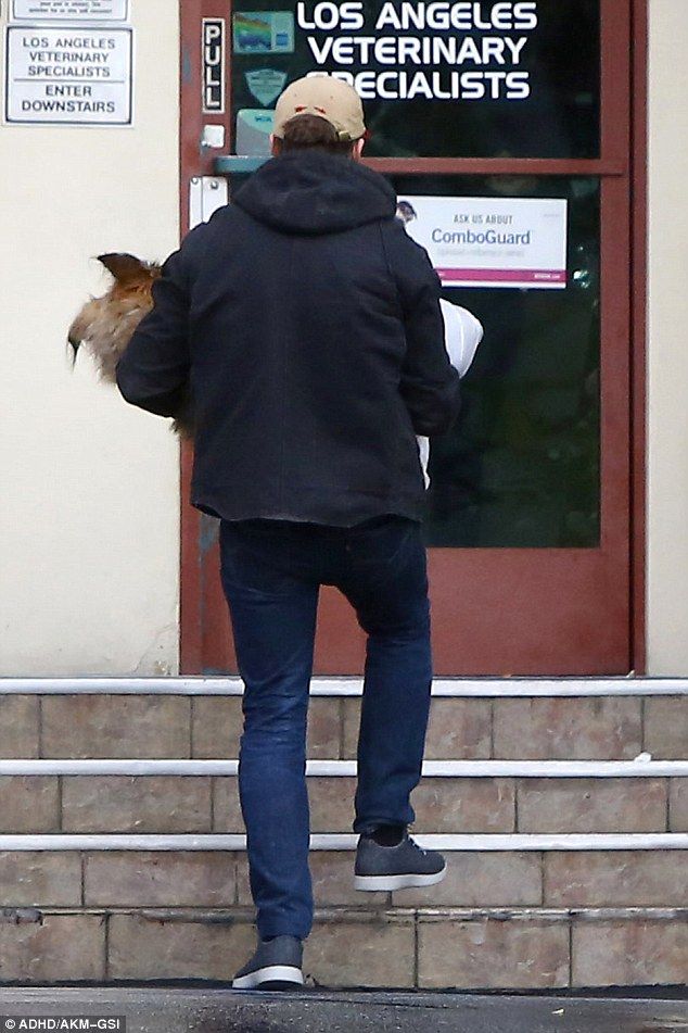 3B786F3F00000578 4043896 image a 36 1481997194547