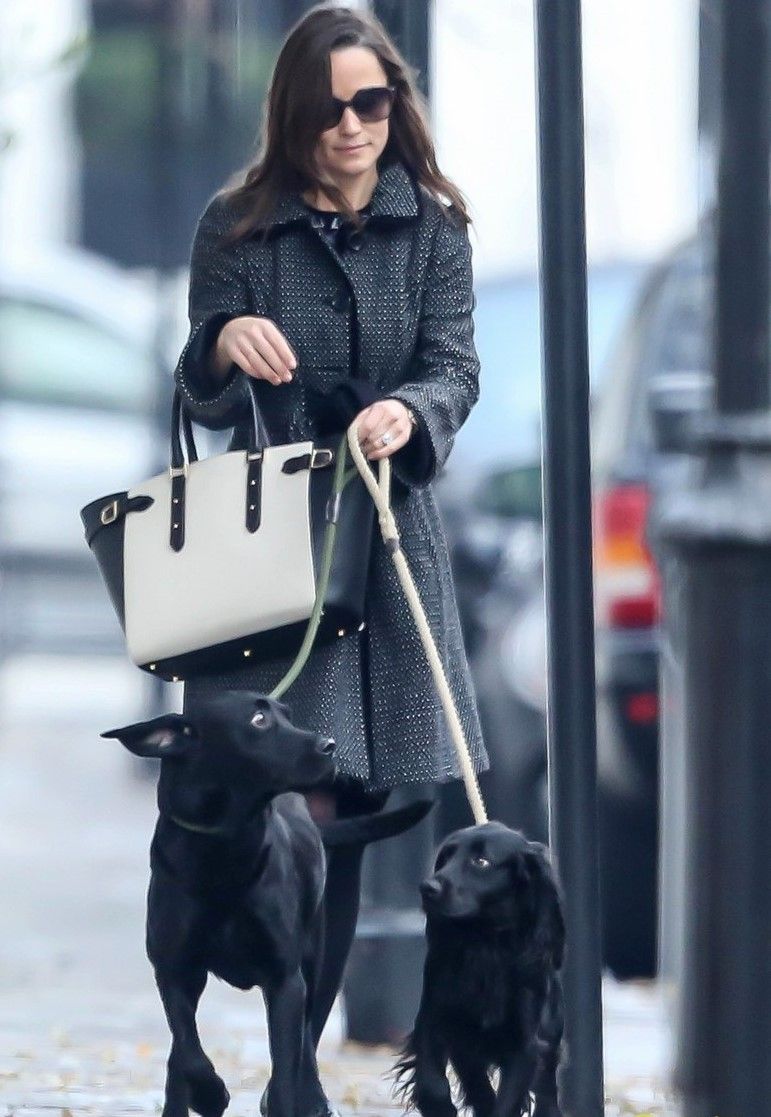 have pippa middleton fiance james matthews set a wedding date 07