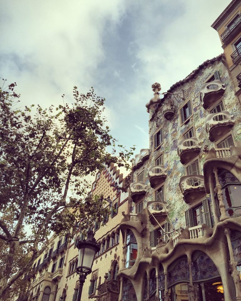 15644535 1299908980081136 1558300694 n