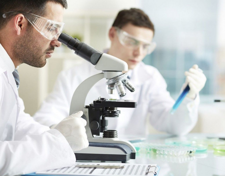 sbie homepage 01 1024x800