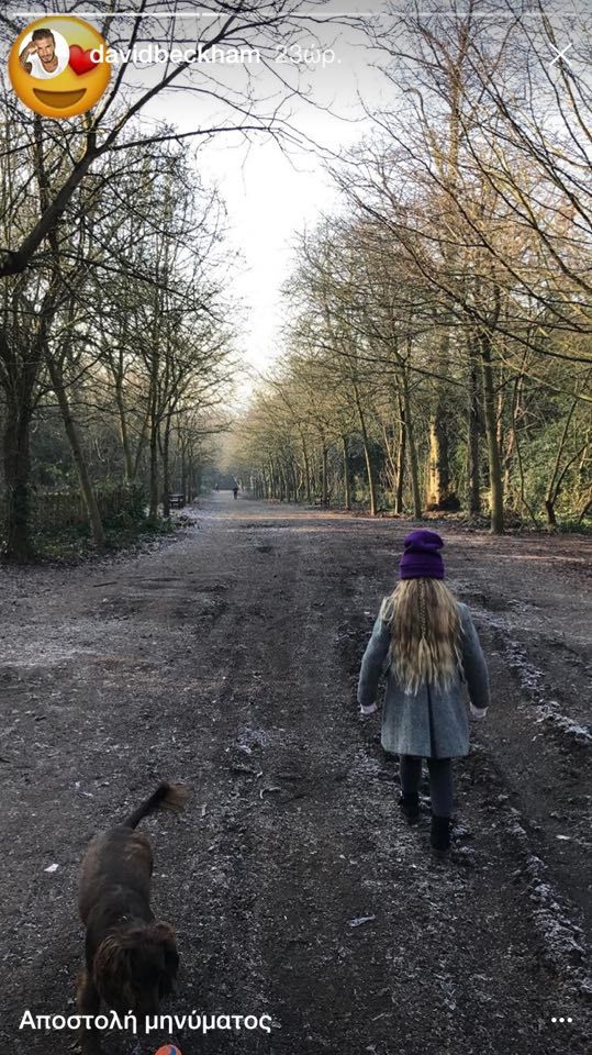 16216234 1356678664404167 1308857452 n