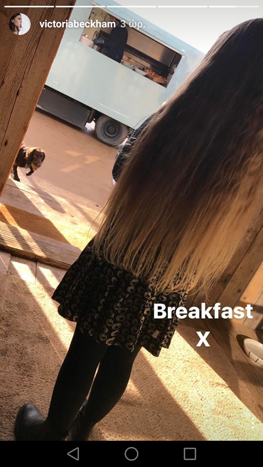 17124399 1403134449758588 1208164375 n