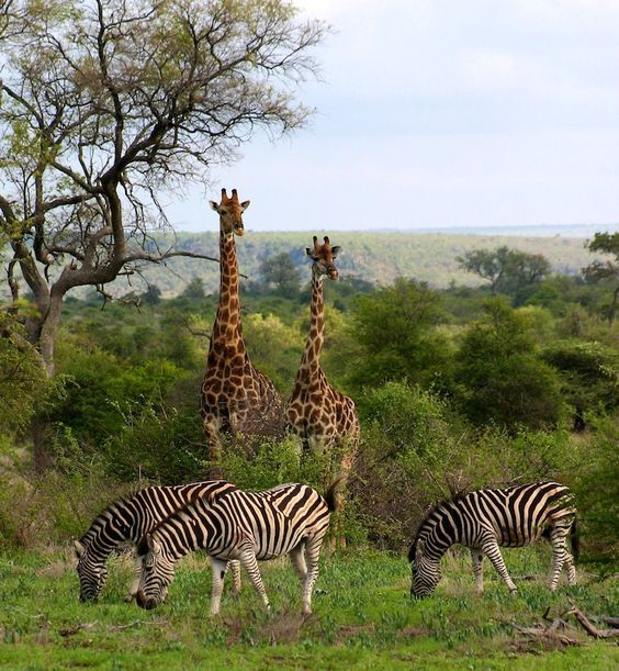 c0f2541a01cfaa797f2e60ae5bcc954b