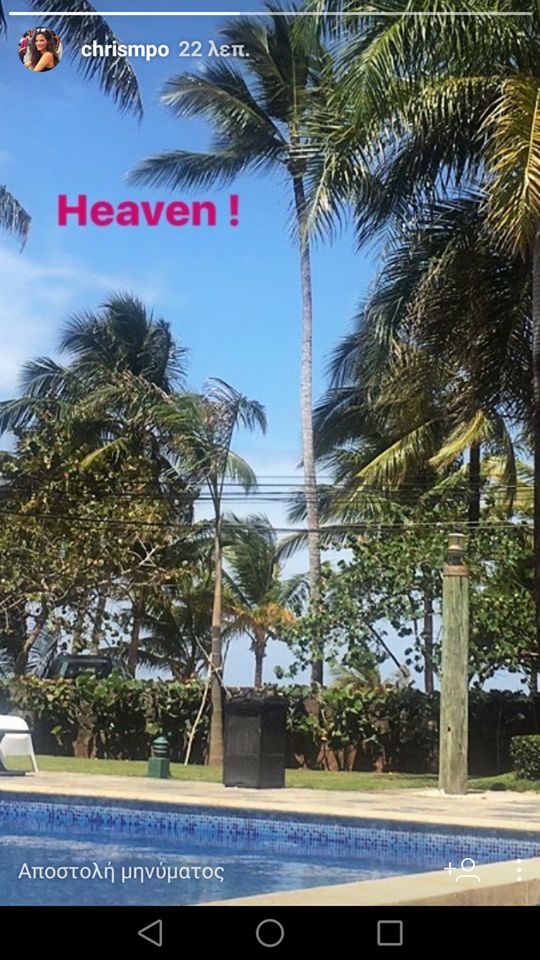 17391885 1431763726865224 685534456 n