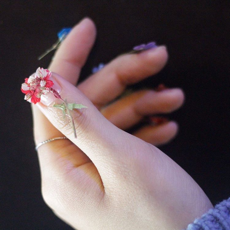 17333090 802233306593507 1886985029570002944 n