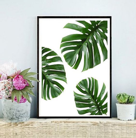 50fdfda0fa7655fdf30859d5ab5d65a9