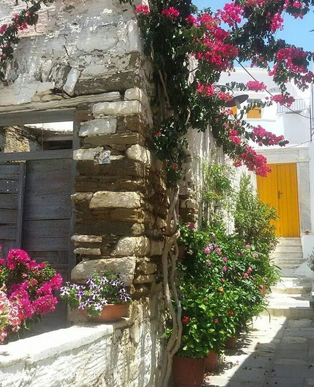 18094524 1335466836535431 8763648014620295168 n