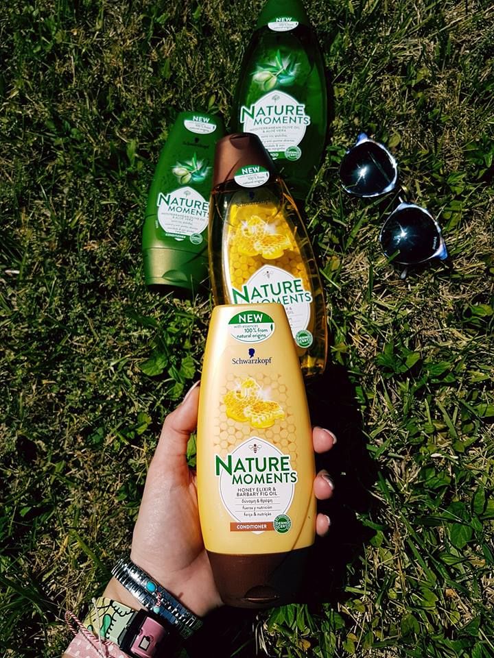 18191700 1472634672808565 1895002668 n