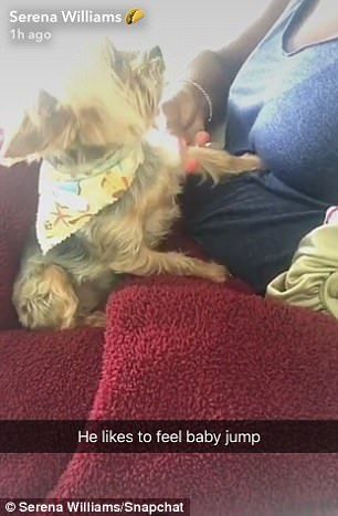 4047349000000578 4502960 image m 43 1494698243926