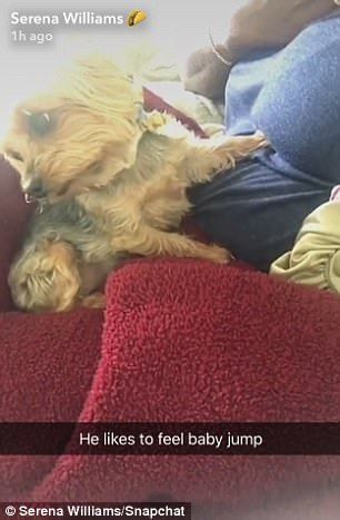 4047349400000578 4502960 image a 44 1494698257487