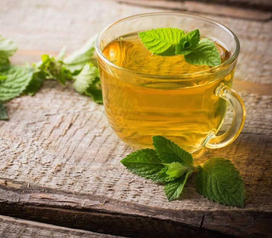 Spearmint Tea