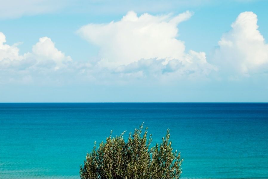 korres kriti pure greek olive