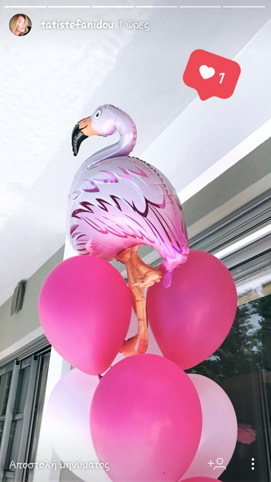 18579395 10208554676573603 1978971442 n