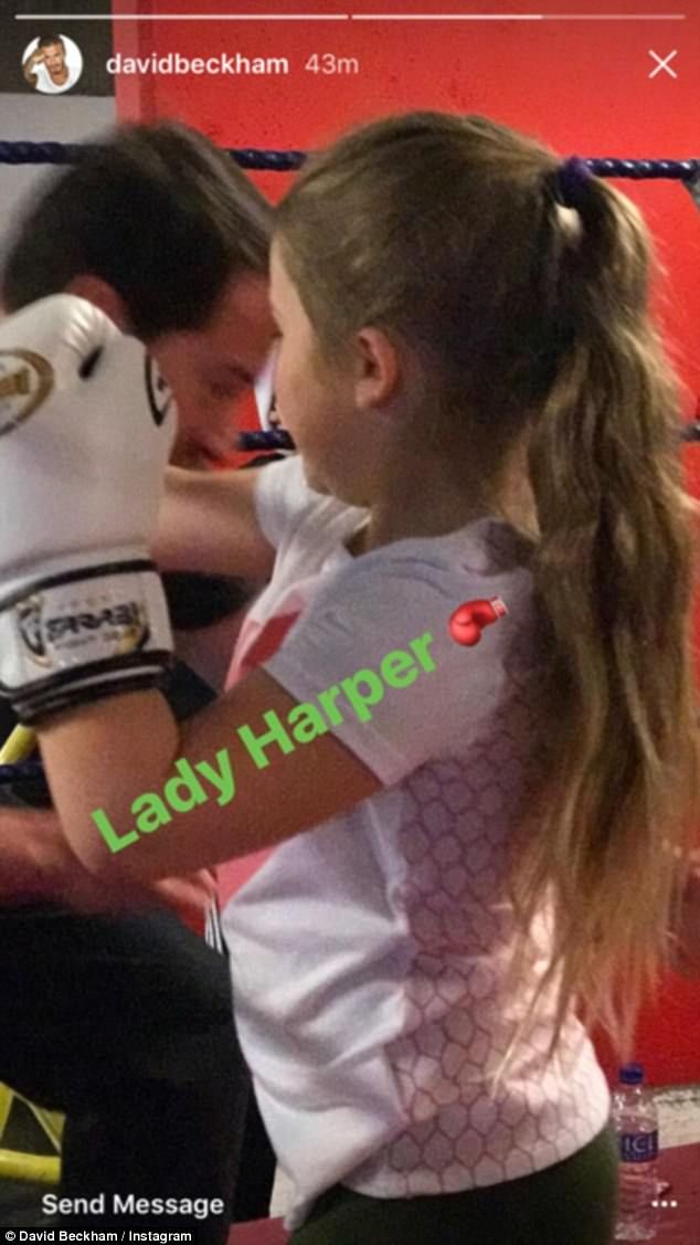 harper beckham kick boxing