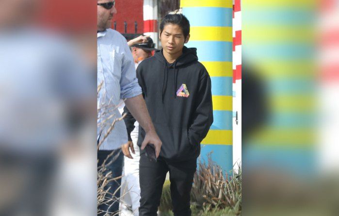 brad pitt divorce therapy son pax 03