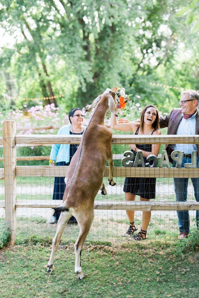 Crowd Pleasing Surprises