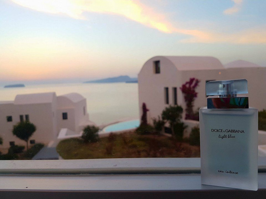 19858405 1562526530486045 1885425783 n