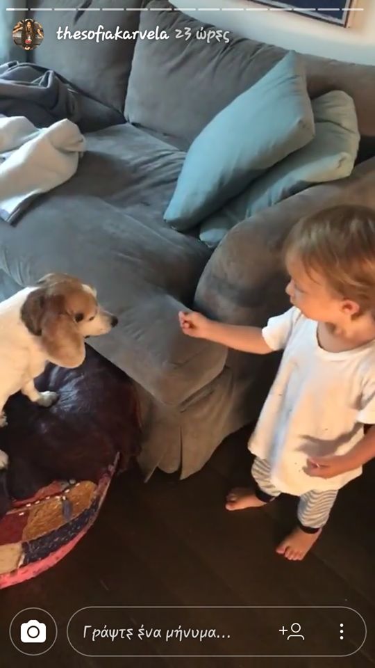 21469591 10209364556260089 1407839993 n