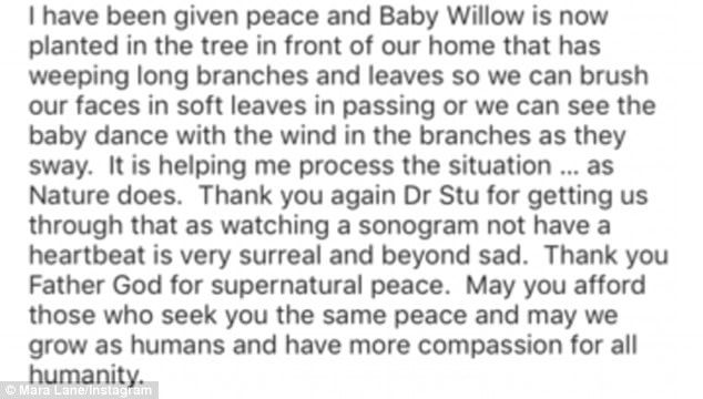 443898E800000578 4879322 image a 5 1505287753238