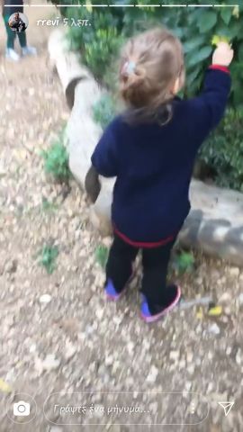 23513304 10209776805046051 1624253214 n