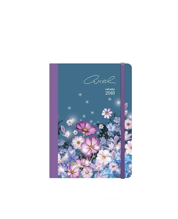 0095670 calendar 2018 edem