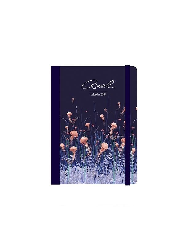 0095671 calendar 2018 oceana