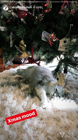 24251976 10209895945064477 1900493258 n