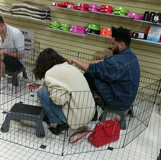 selena gomez is all smiles while cuddling adorable puppies with the weeknd in nyc post