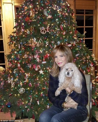 4795AD8600000578 5213427 image a 12 1514312409618