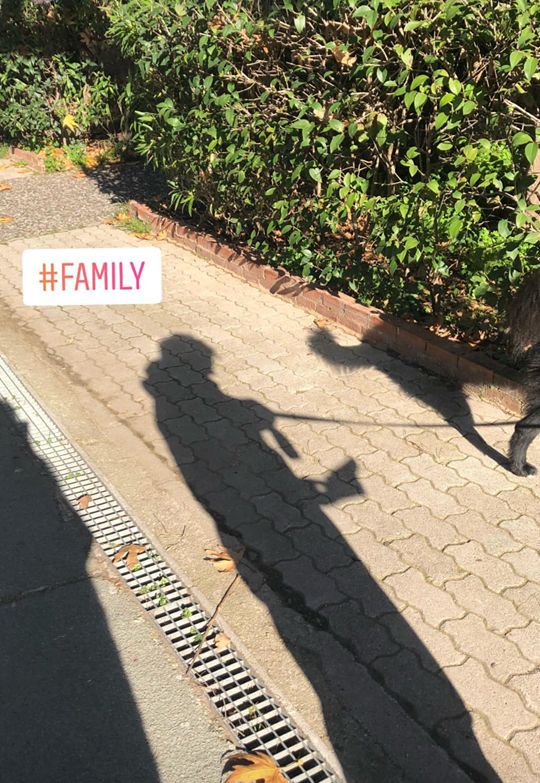 26234140 10214142258247022 1194730118 n