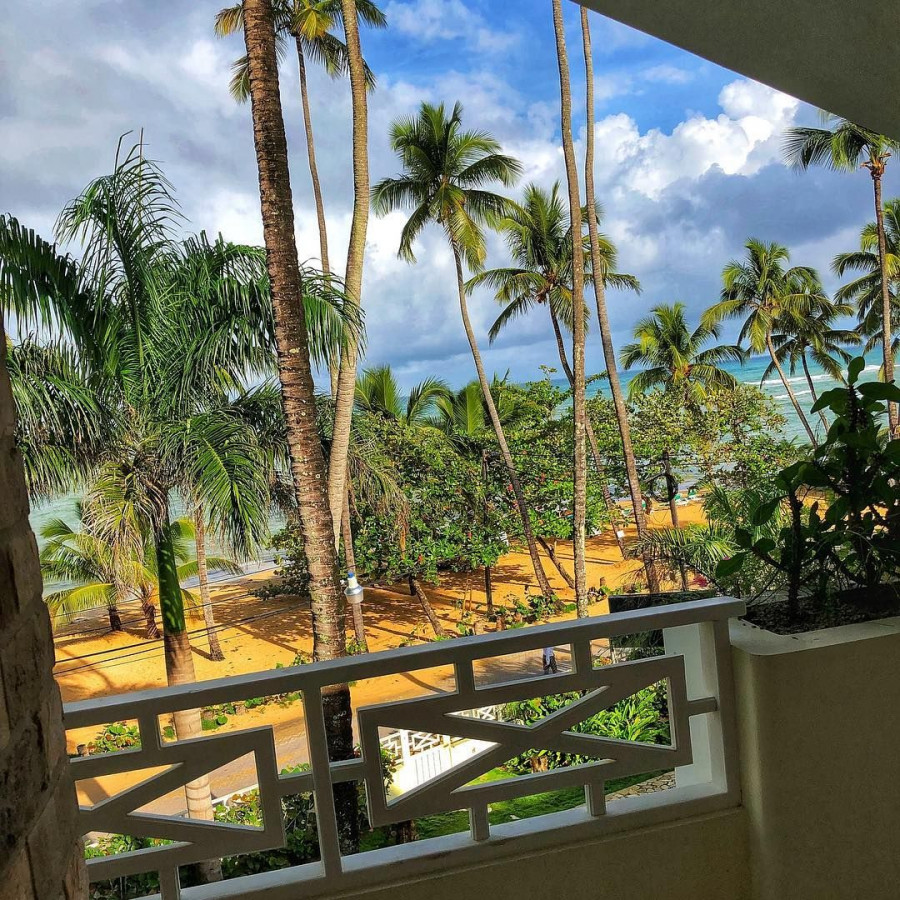 SAKIS TANIMANIDIS PRWTI FWTO SURVIVOR2