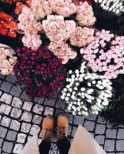 6f2cdae2ecba6ff84cd7e1986130f163 wild flowers pretty flowers