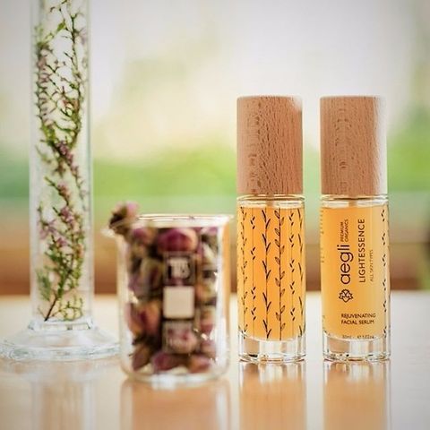 27574041 330568404016950 2063657302405152768 n copy