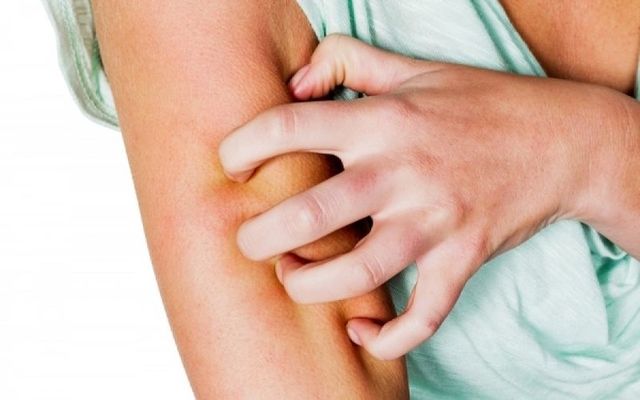 c2588d70a0249a2c484fb714407cdb6c XL