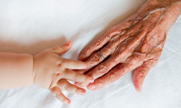 9b826a66fcdb30b65508e776b5fe7c12