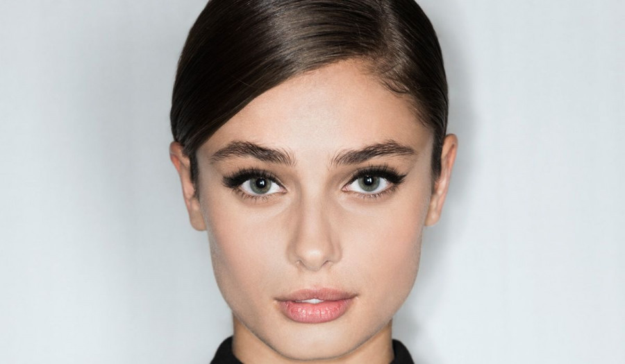 taylor hill brows