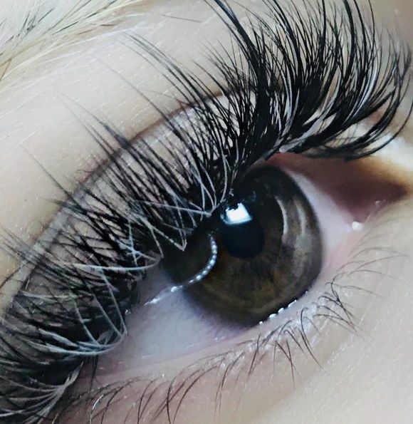 vlefarides antavgeies