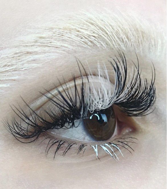 vlefarides antavgeies2