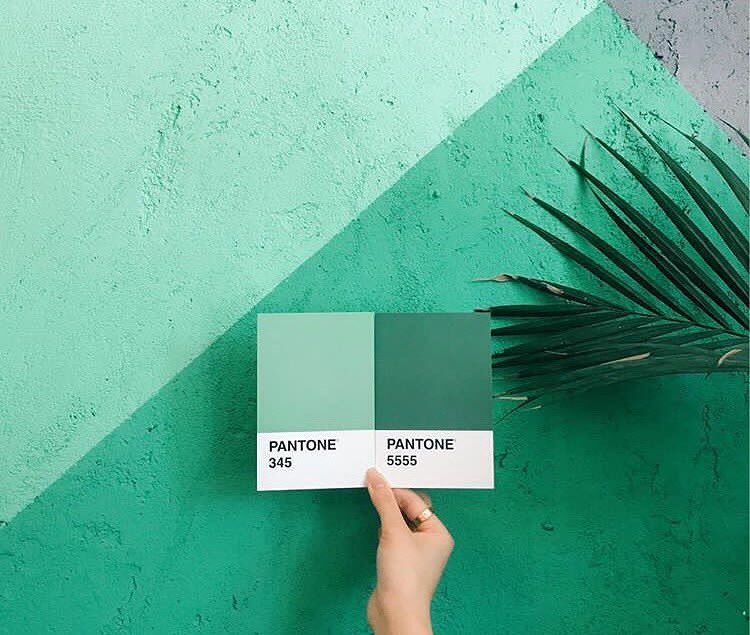 pantone 20766165 1670055446340667 8154580317282238464 n