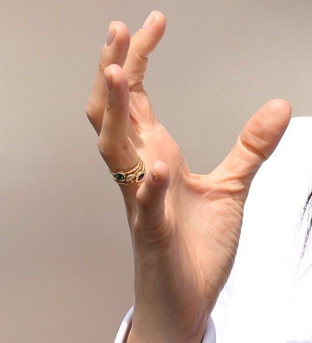 5394160 6315153 Fans a 13 1540458565357