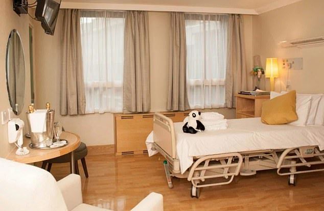 13190628 7000807 image a 19 1557219684976