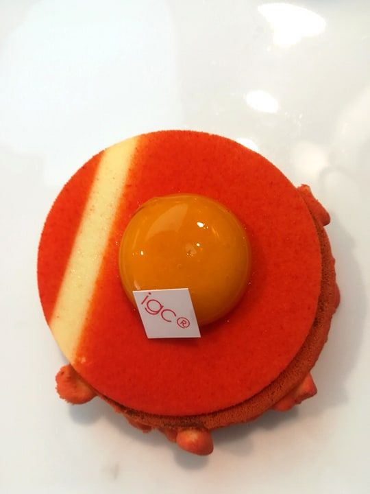 62408212 464277687680969 1126760961886126080 n