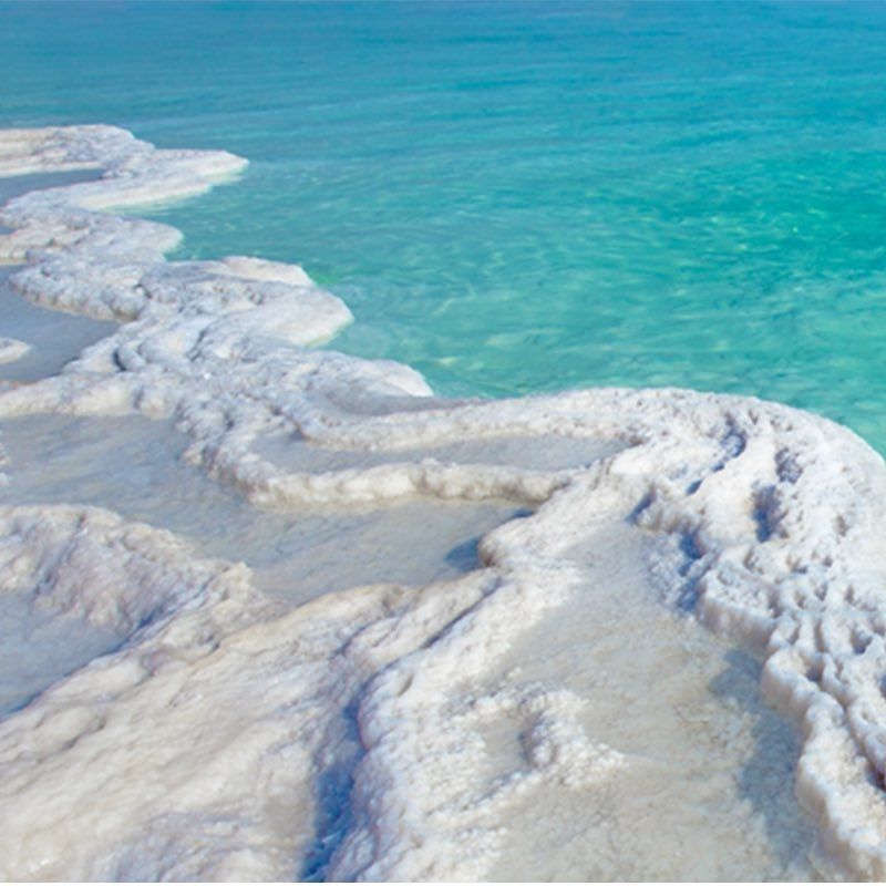 rivage greece 47693593 535462460279797 3202013587568290876 n