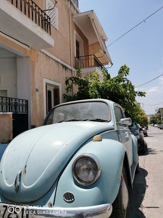 65040742 1219412818262718 4407679332474945536 n