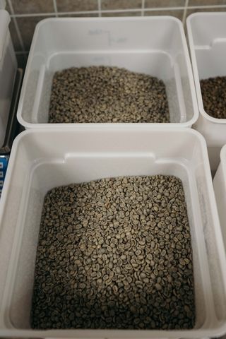 battlecreek coffee roasters tMvcUO ZUXM unsplash