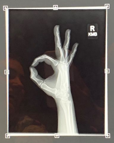 ladygaga 72363648 464602764411387 4593734305651575428 n