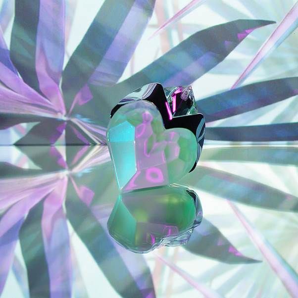 image007 copy copy copy