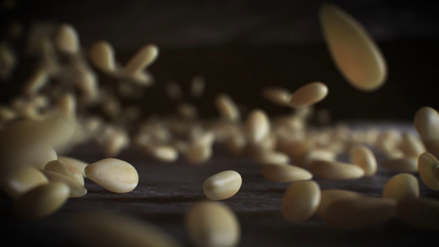 περιωαλλον