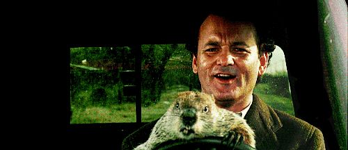 groundhog day gif 3