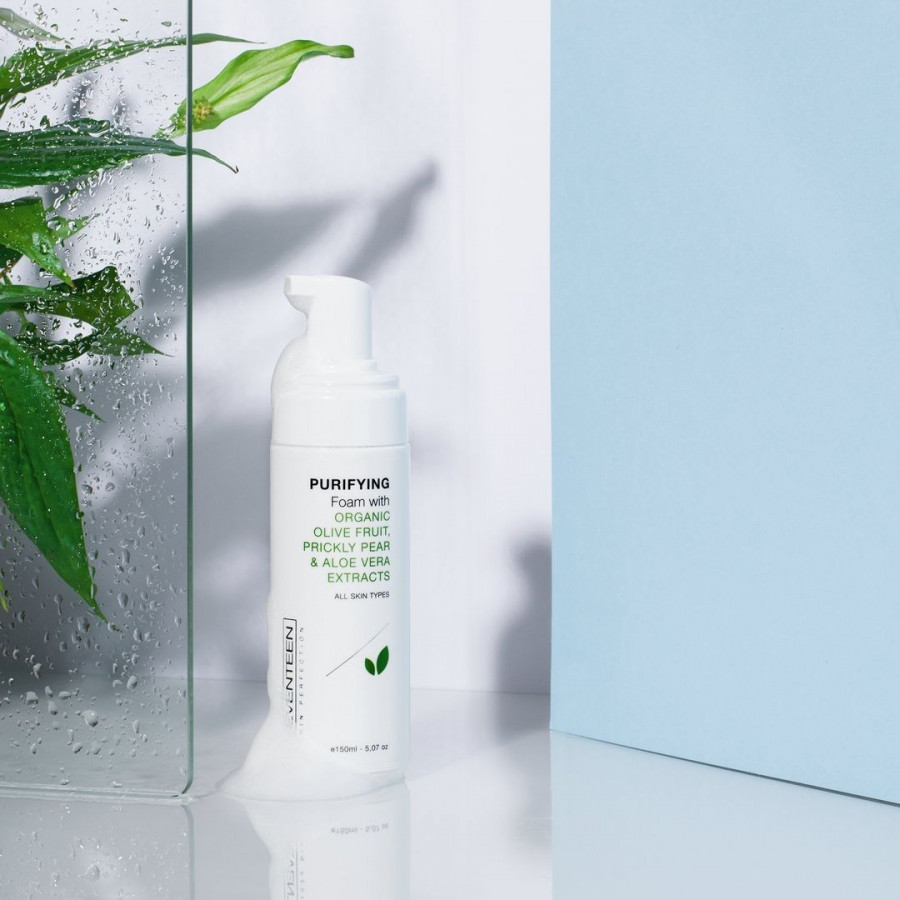 1 Purifying Foam